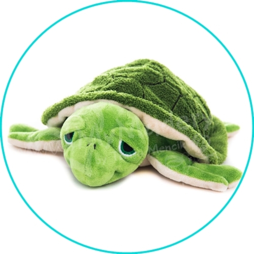 Premium Schildkröte grün - zum Schließen ins Bild klicken