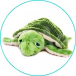 Premium Schildkröte grün