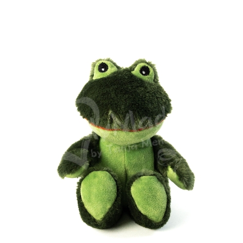 (Bild für) Midi Frosch - zum Schließen ins Bild klicken