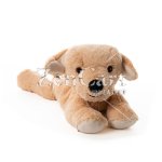 (Bild für) Classic Labrador